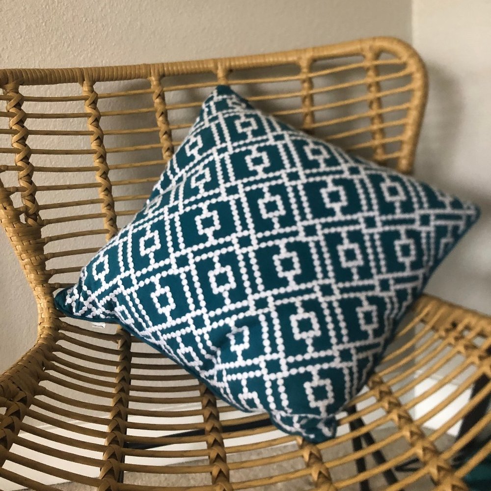Home Goods Pillows